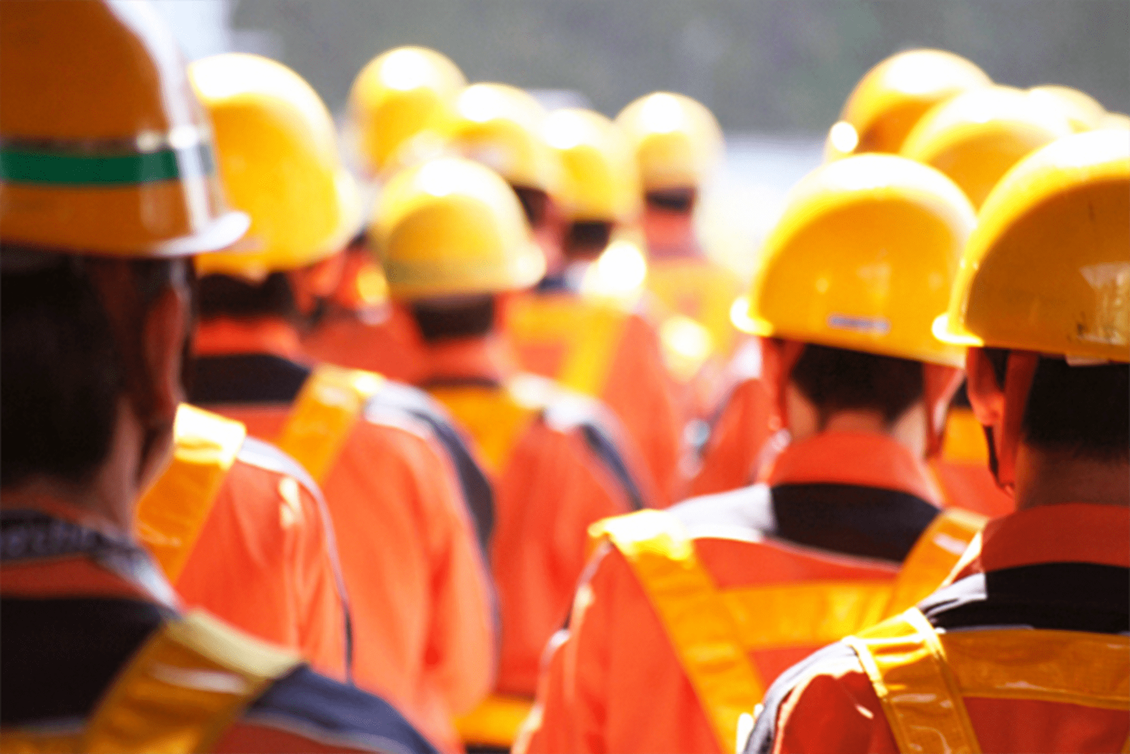 Workforce Supply Services